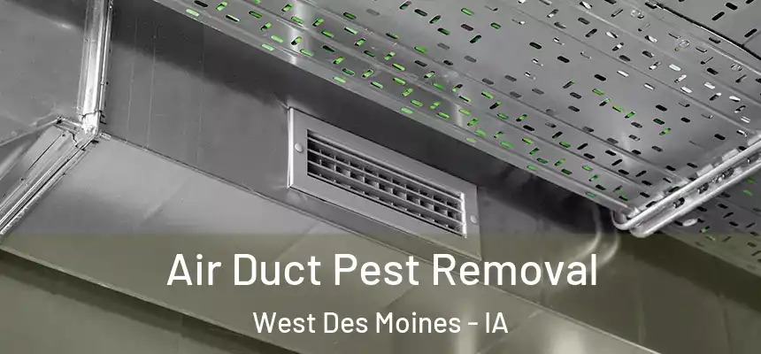  Air Duct Pest Removal West Des Moines - IA