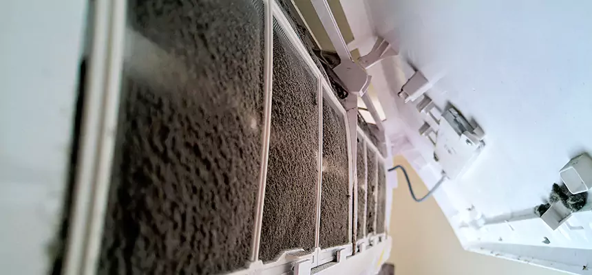 Preventive Air Duct Bacteria Removal in West Des Moines