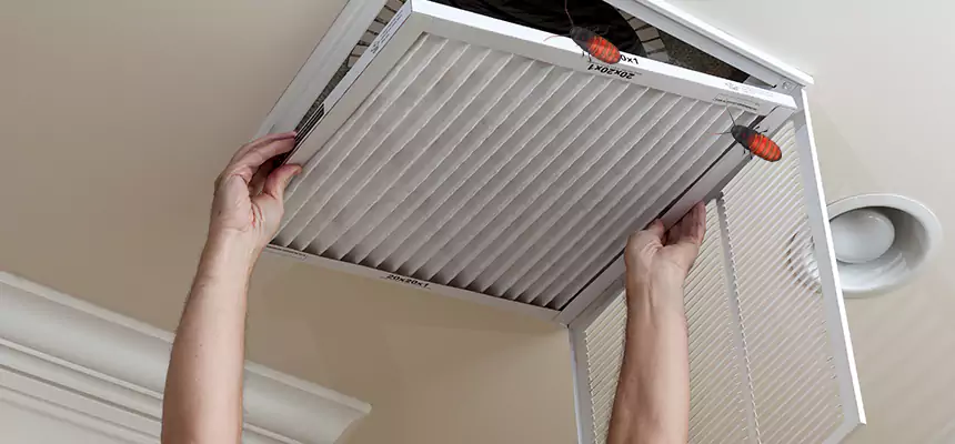 Preventive Cockroach-Proofing for Ducts in West Des Moines