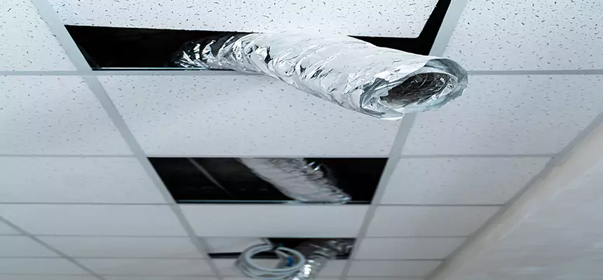 Our Air Duct Pet Hair Removal Services in West Des Moines, IA