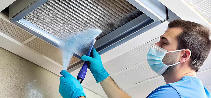Proactive Dryer Vent & Auxiliary Duct Pollen Cleanup in West Des Moines, IA