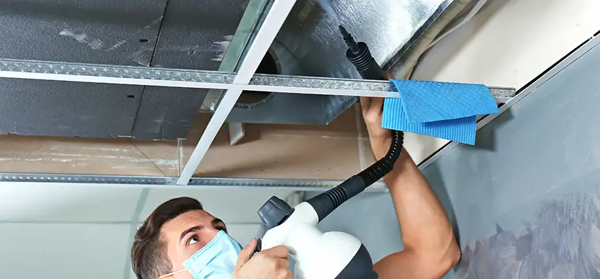 Our Air Duct Rodent Removal Services in West Des Moines, IA