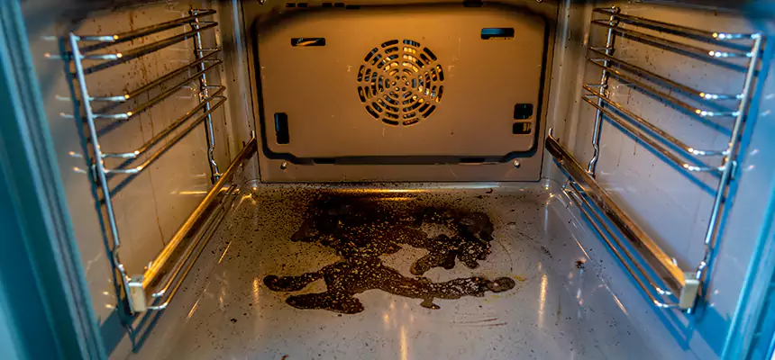 Our Dryer Vent Mold Cleaning Services in West Des Moines, IA