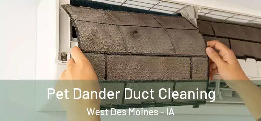  Pet Dander Duct Cleaning West Des Moines - IA