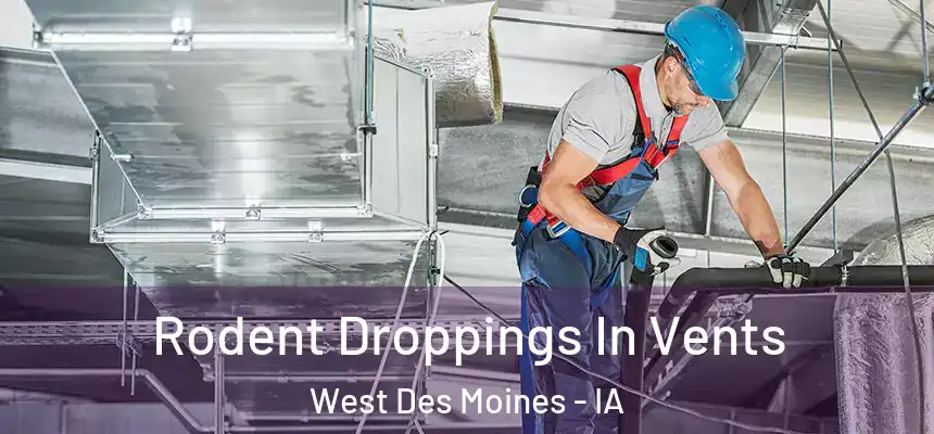 Rodent Droppings In Vents West Des Moines - IA