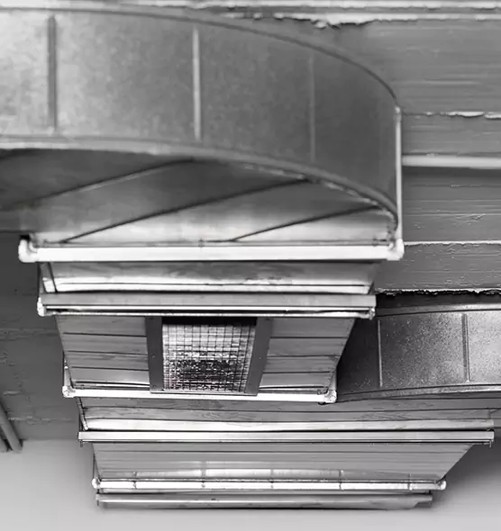 Professional Air Duct Pet Hair Removal in West Des Moines, IA