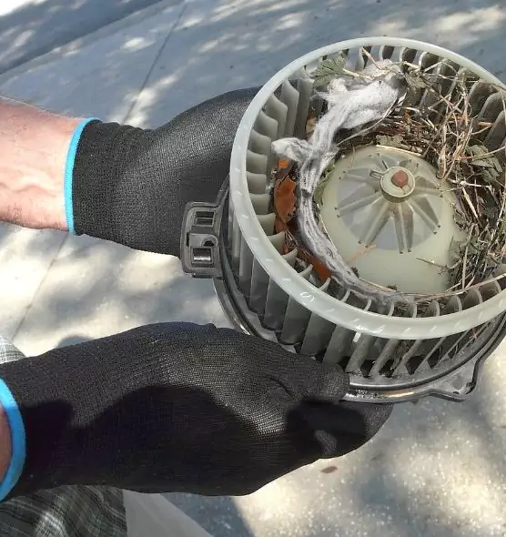 About Air Duct Rat Removal in West Des Moines, IA