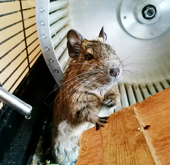 Why Homeowners & Businesses Trust Us West Des Moines, IA