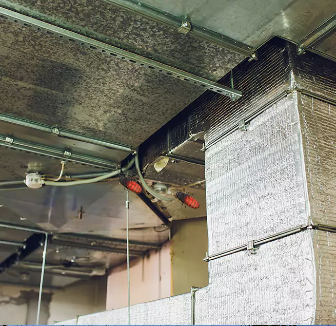 Why Homeowners & Businesses Trust Us West Des Moines, IA?